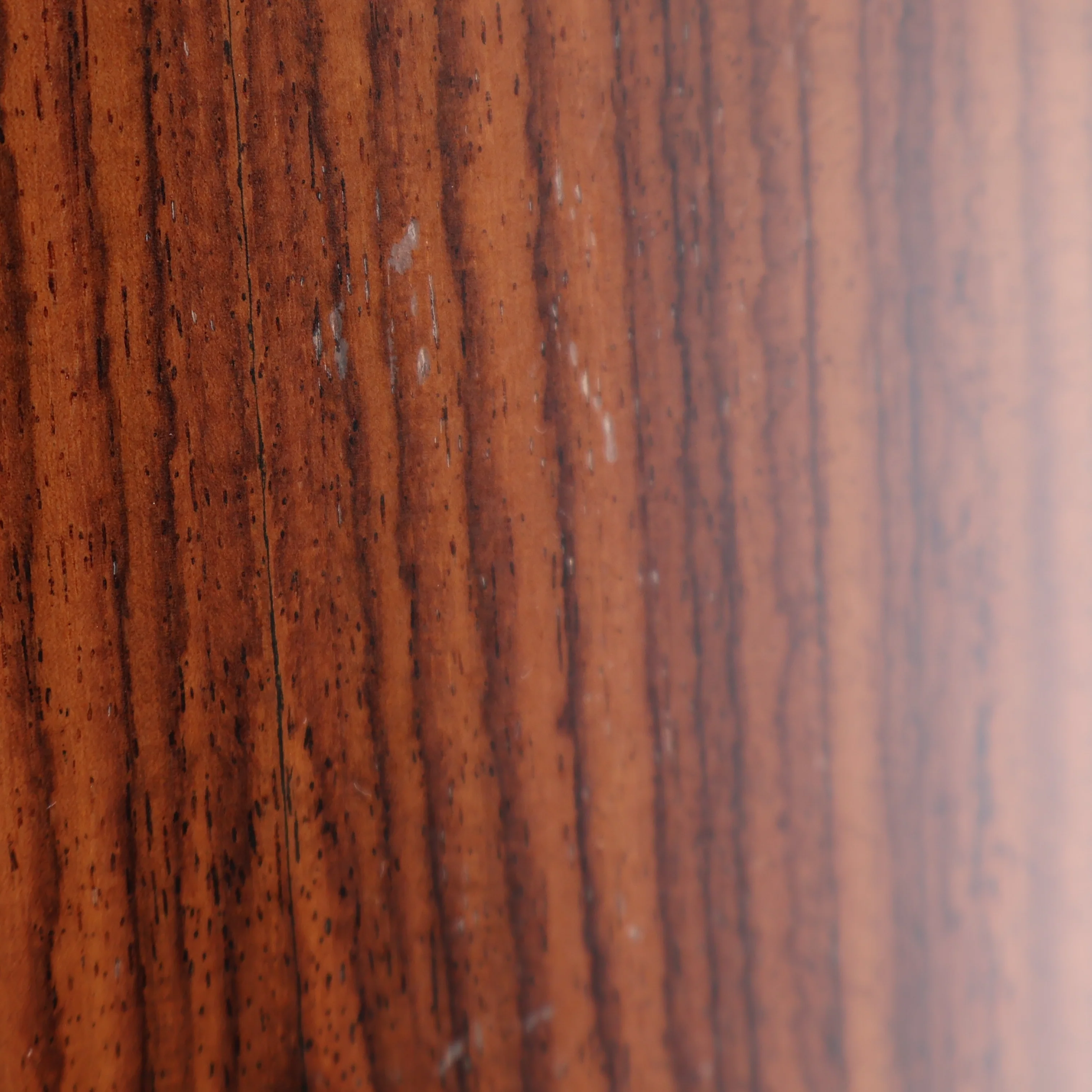 Taylor 214CE Left Handed Grand Auditorium Acoustic Electric Guitar, Natural, Plays Great (RC1) (61192) - Image 8